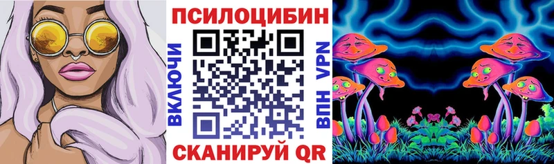 Купить закладки  Кирово-Чепецк  Псилоцибиновые грибы мицелий 